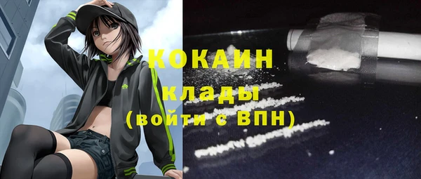 твердый Инсар