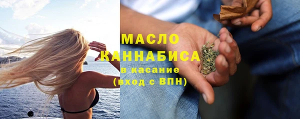 твердый Инсар