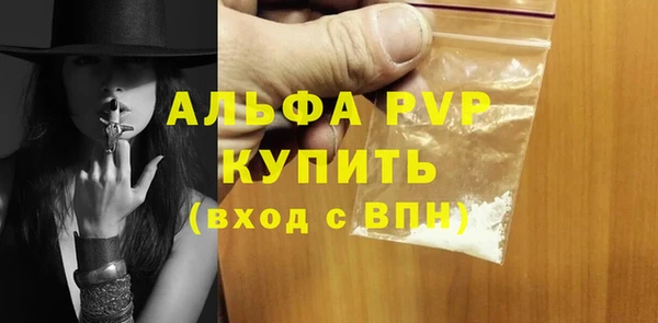 твердый Инсар
