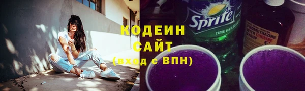 твердый Инсар