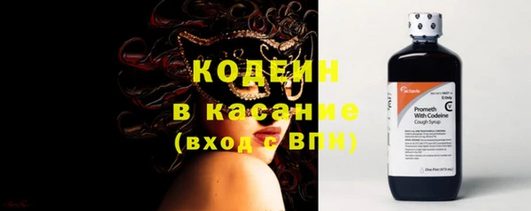 твердый Инсар