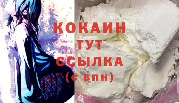 твердый Инсар