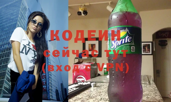 твердый Инсар