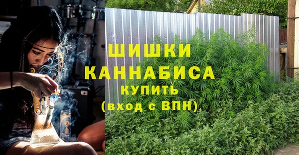 эйфоретик Иннополис