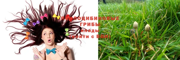 твердый Инсар