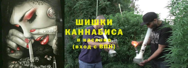эйфоретик Иннополис