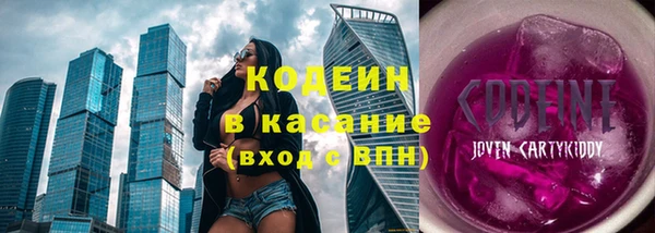 твердый Инсар