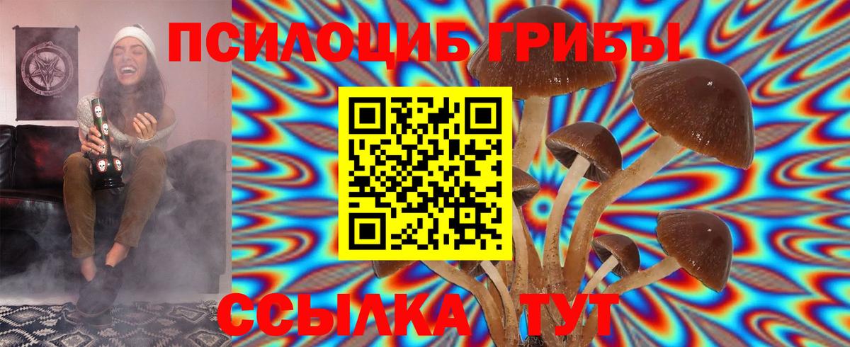 Обнинск  Псилоцибиновые грибы GOLDEN TEACHER  Вход с VPN 